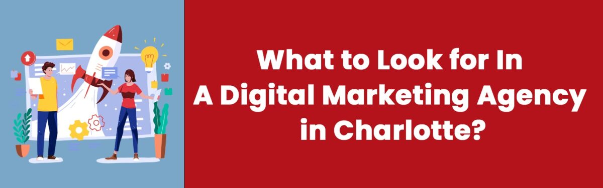 What to Look for In A Digital Marketing Agency in Charlotte?